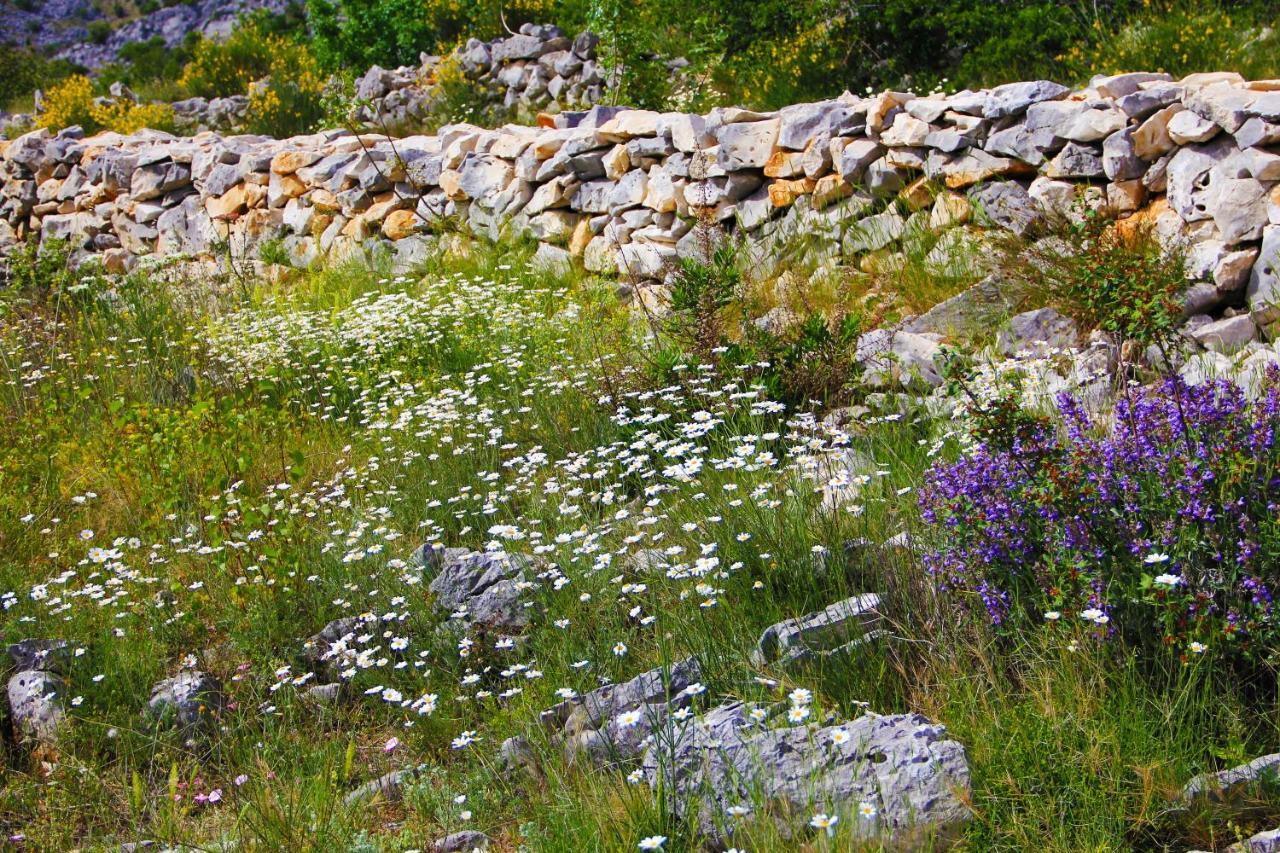 Villa Zlatno Sunce In The Hills Near Trogir Vrsine Exterior foto